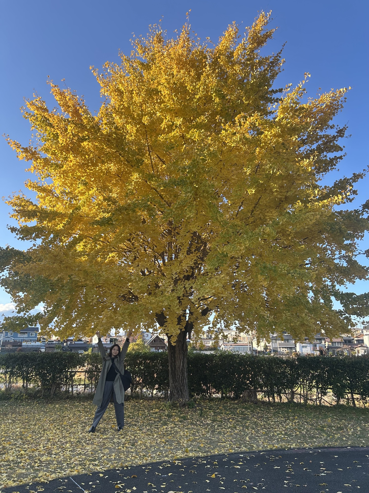 新年あけましておめでとうございます🎍